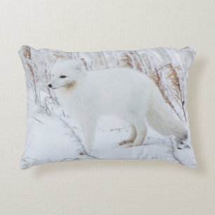Arctic Fox Decorative Cushion