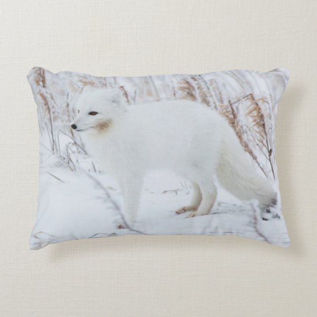 Arctic Fox Decorative Cushion (Front)
