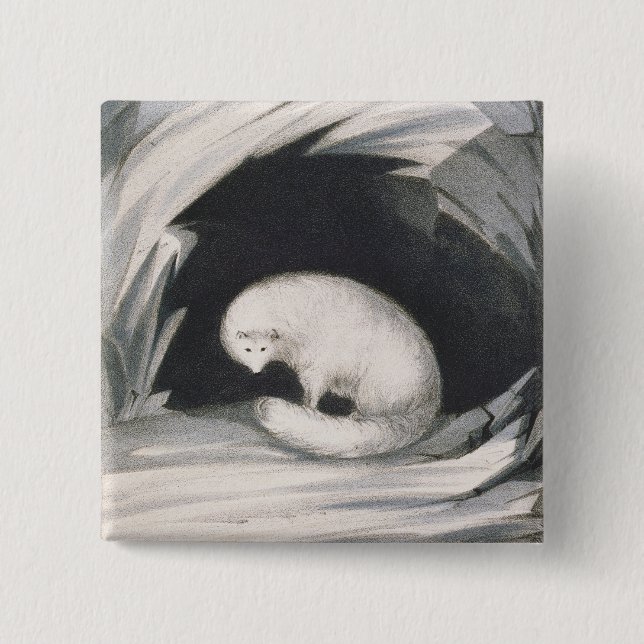 Arctic Fox, from 'Narrative of a Second Voyage in 15 Cm Square Badge (Front)