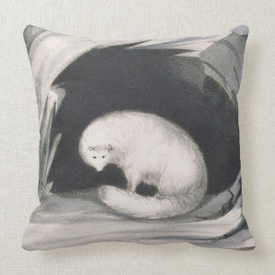 Arctic Fox, from 'Narrative of a Second Voyage in Cushion