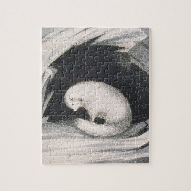 Arctic Fox, from 'Narrative of a Second Voyage in Jigsaw Puzzle (Vertical)