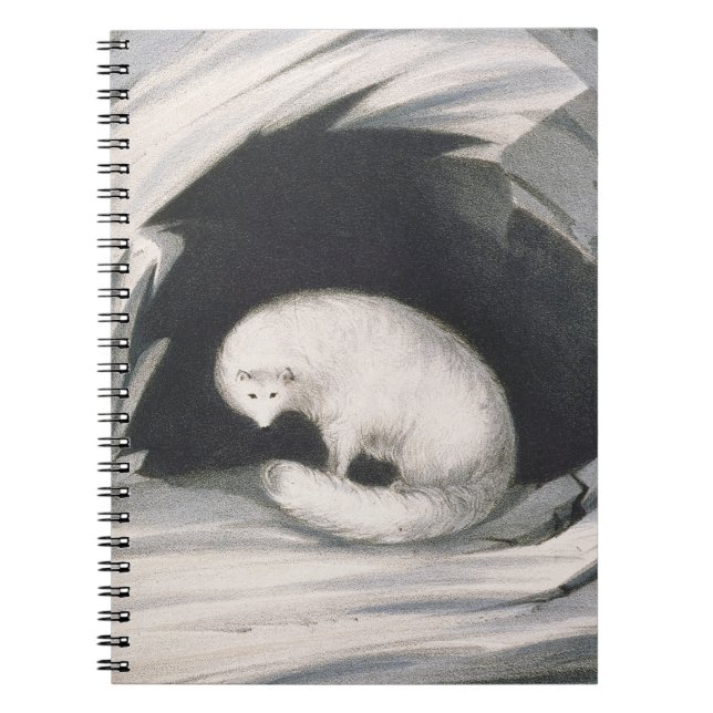 Arctic Fox, from 'Narrative of a Second Voyage in Notebook (Front)