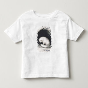 Arctic Fox, from 'Narrative of a Second Voyage in Toddler T-Shirt