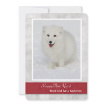Arctic Fox Happy New Year's Card