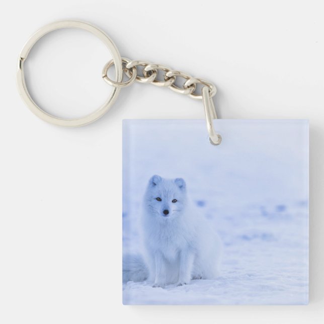 Arctic Fox, Iceland photograph, Key Ring (Front)