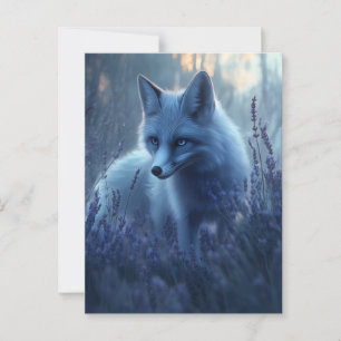 Arctic Fox in Lavender Field at Dusk Postcard