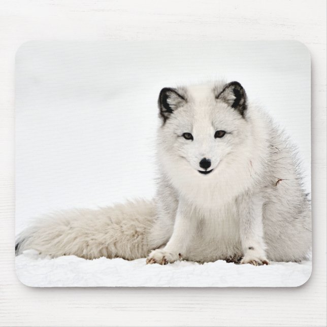 Arctic Fox in the Snow Mouse Pad (Front)