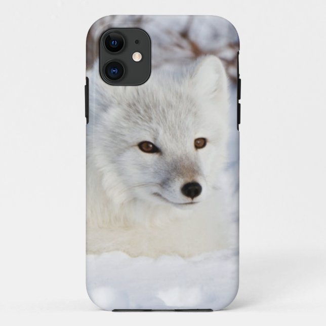Arctic Fox in winter Case-Mate iPhone Case (Back)