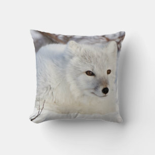 Arctic Fox in winter Cushion