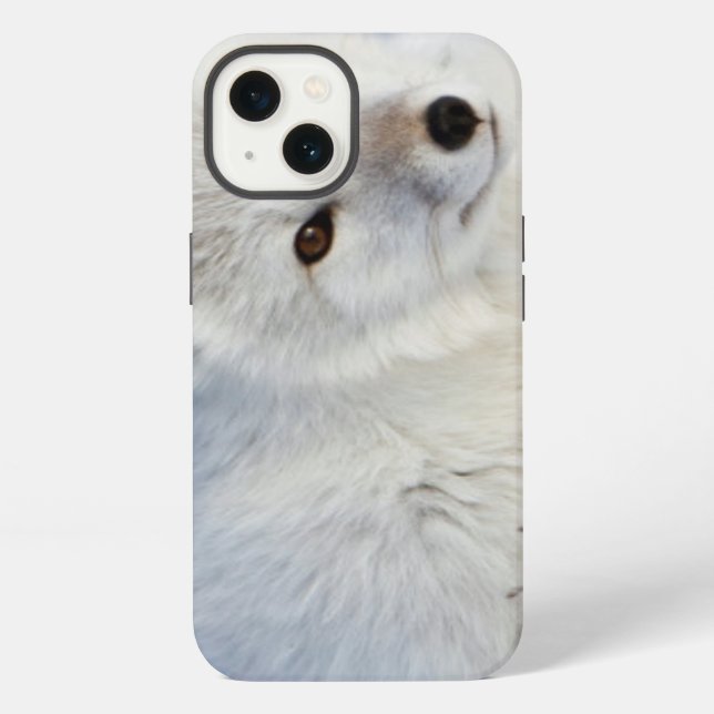 Arctic Fox in winter iPhone Case (Back)