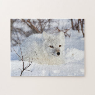Arctic Fox in winter Jigsaw Puzzle