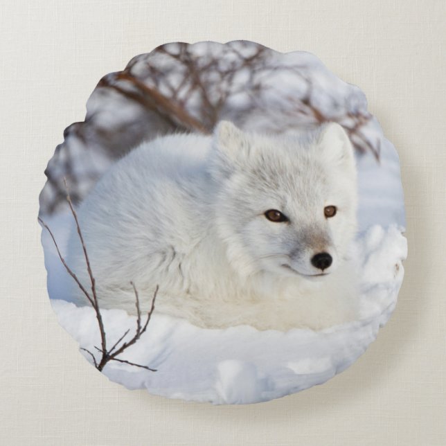 Arctic Fox in winter Round Cushion (Front)