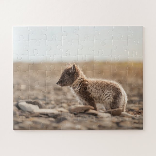 Arctic Fox Jigsaw Puzzle (Horizontal)