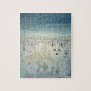Arctic Fox Jigsaw Puzzle
