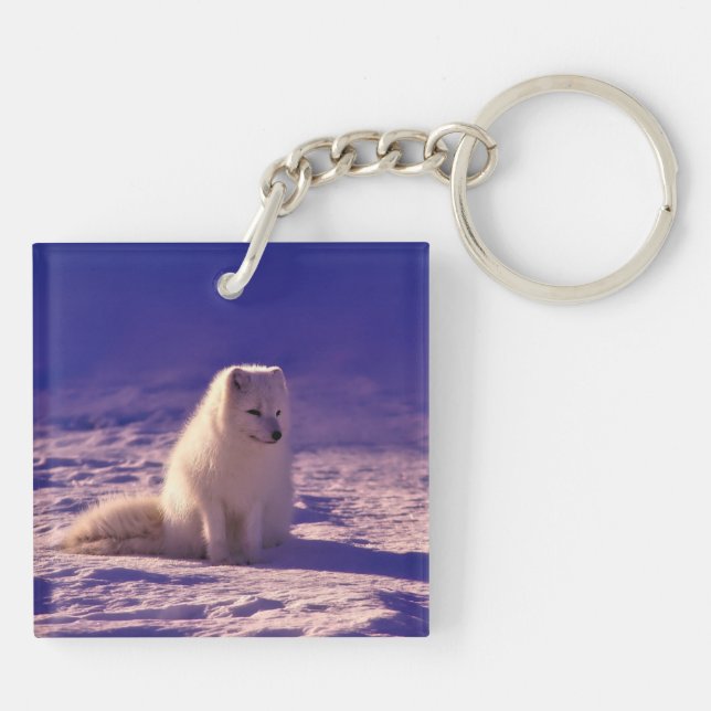 Arctic Fox Key Ring (Back)