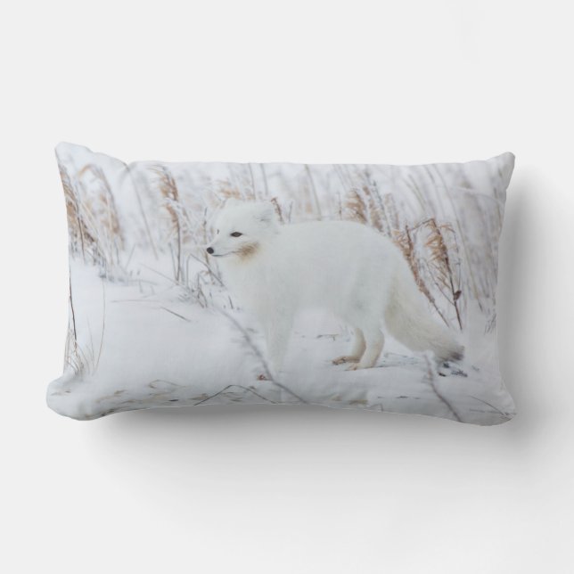 Arctic Fox Lumbar Cushion (Front)
