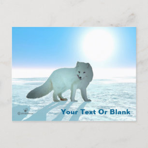 Arctic Fox Postcard