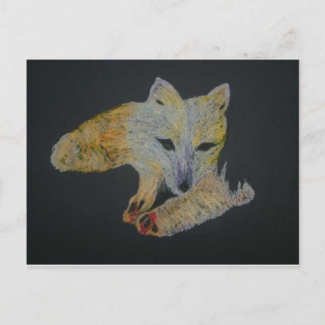 arctic fox postcard (Front)
