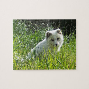 Arctic Fox Puzzle