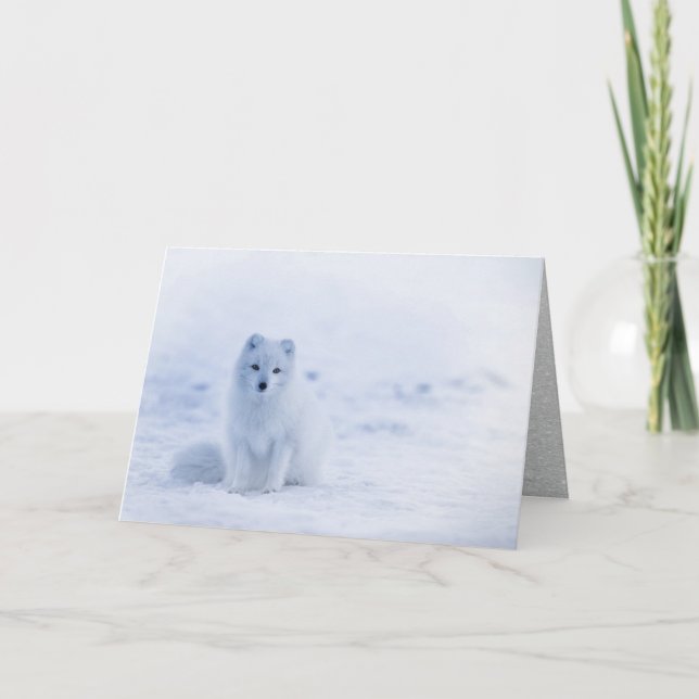 Arctic Fox Sitting in Snow Holiday Card (Front)