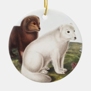 Arctic Fox (Vulpes lagopus) Illustration Ceramic Ornament