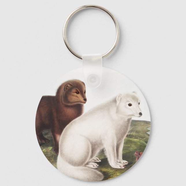 Arctic Fox (Vulpes lagopus) Illustration Key Ring (Front)