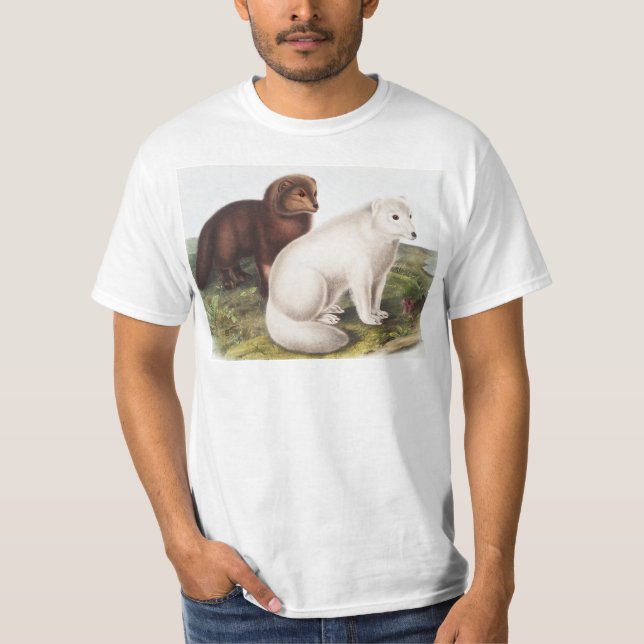 Arctic Fox (Vulpes lagopus) Illustration T-Shirt (Front)