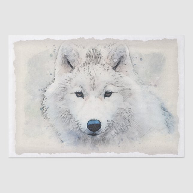 Arctic Fox Watercolor Tissue Paper (Front)