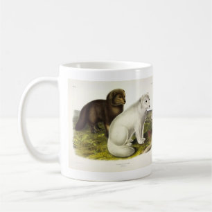Arctic Fox (White Fox, Polar Fox, Snow Fox) Coffee Mug