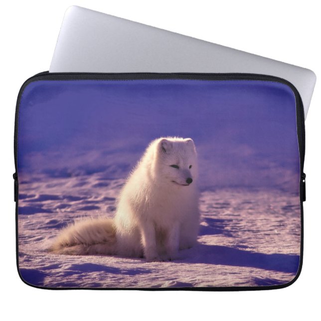 Arctic Fox Winter Snow Landscape Laptop Sleeve (Front)