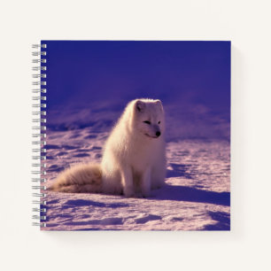 Arctic Fox Winter Snow Landscape Notebook