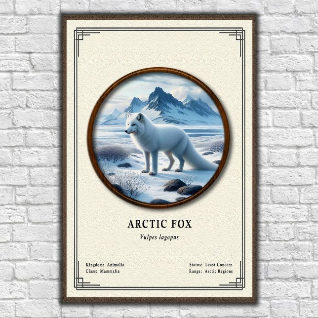 Arctic Fox Zoology Series Poster (Creator Uploaded)