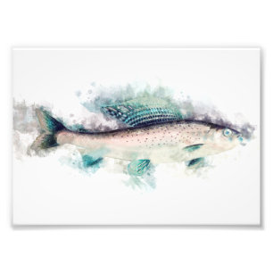 Arctic grayling Aquarelle Art Fishing Enthusiasts Photo Print