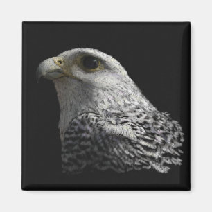 Arctic Gyrfalcon Magnet