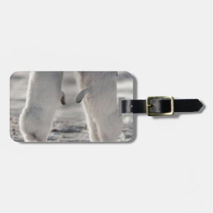 arctic hare rabbit bunny animal winter frozen snow luggage tag