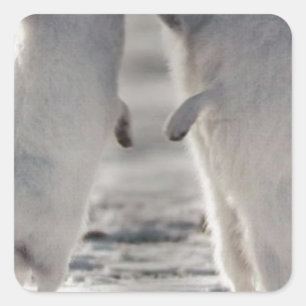 arctic hare rabbit bunny animal winter frozen snow square sticker