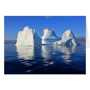 Arctic Icebergs Blue & White Blank Photo Note Card