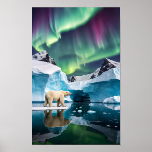 Arctic Nature Aurora Iceberg Outdoors Landscape  Poster