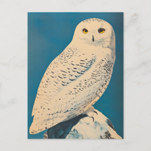 Arctic owl vintage postcard