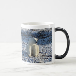 Arctic Polar Bear, Arctic Cold Magic Mug