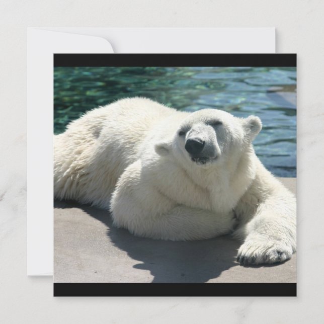 Arctic Polar Bear Invitation (Front)