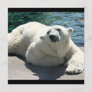 Arctic Polar Bear Invitation