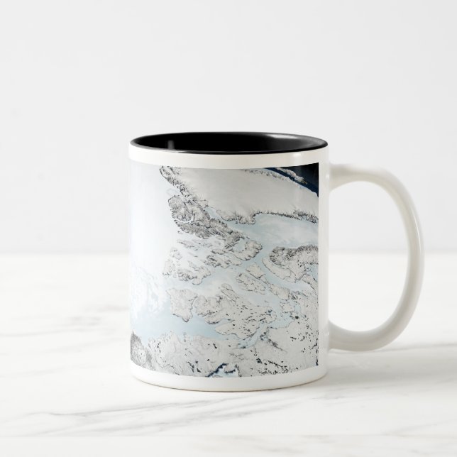 Arctic sea ice 2 Two-Tone coffee mug (Right)