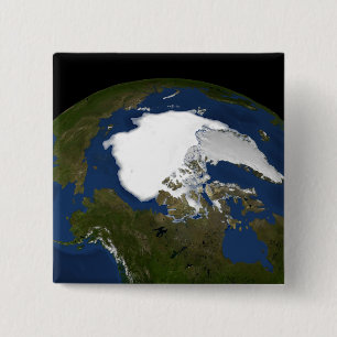 Arctic sea ice in 2005 15 cm square badge