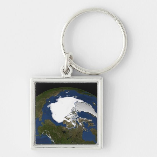 Arctic sea ice in 2005 key ring (Front)