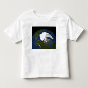 Arctic sea ice in 2005 toddler T-Shirt
