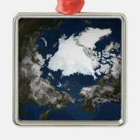 Arctic sea ice