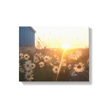 arctic sunset canvas