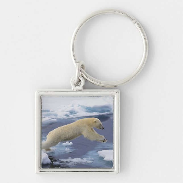 Arctic, Svalbard, Polar Bear extending Key Ring (Front)