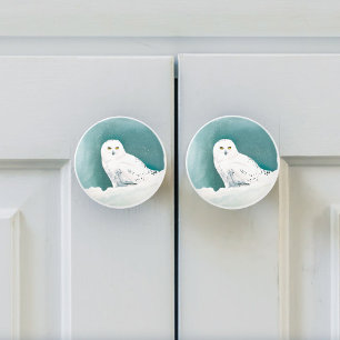 Arctic Teal Snowy Owl Ceramic Knob